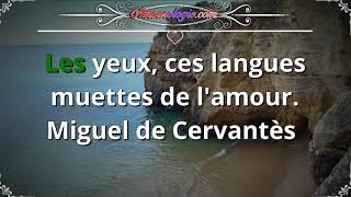 Réflexion Amourologie