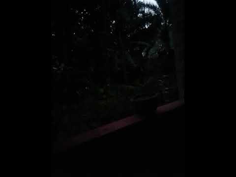 Rain is coming cloudy sky windy afternoon(2) - YouTube