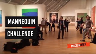 Museum Hack Mannequin Challenge