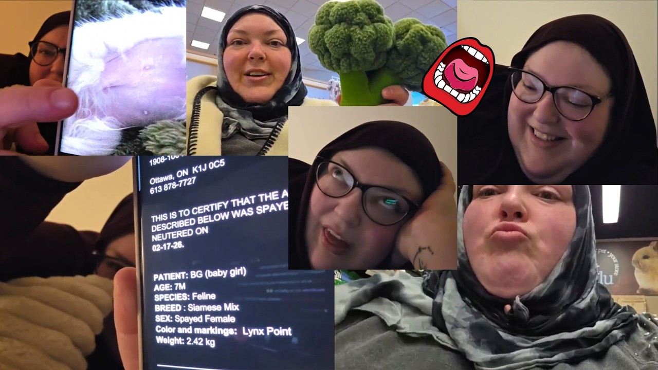 Foodie Beauty Caring For The Cat She Is Recovering From Surgery Salah Sends Her GIFS Of Herself