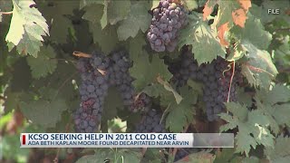 KCSO seeking help in 2011 cold case