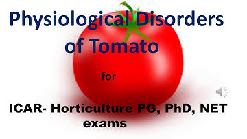 Physiological disorders of Tomato|For ICAR JRF, SRF, NET, ARS exams on Horticulture