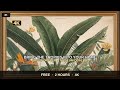 Tropical Botanical Art 🌿 Free 2 Hour Samsung Frame TV Screensaver 4K 2026