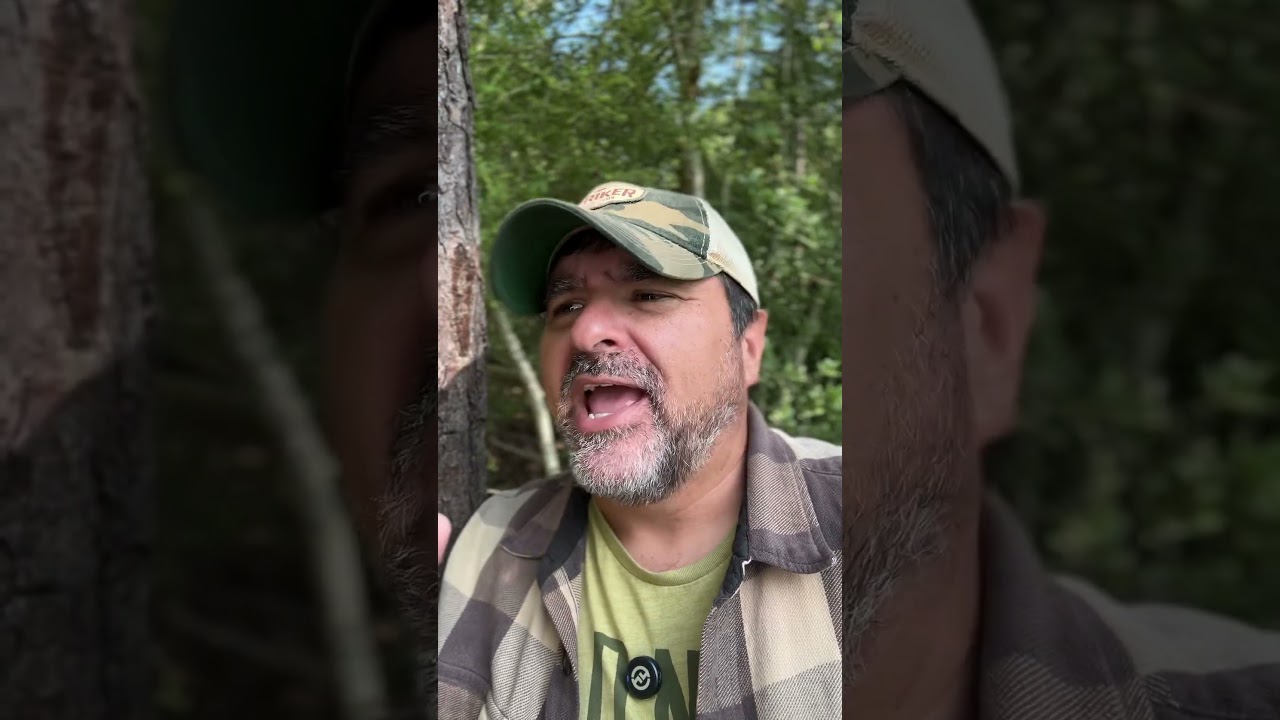 What kinda car would Jesus drive in 2025???