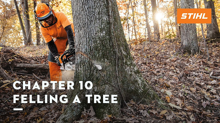 Chapter 10: Felling a Tree | STIHL Tutorial