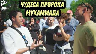 И как тут не стать мусульманином?│Шамси