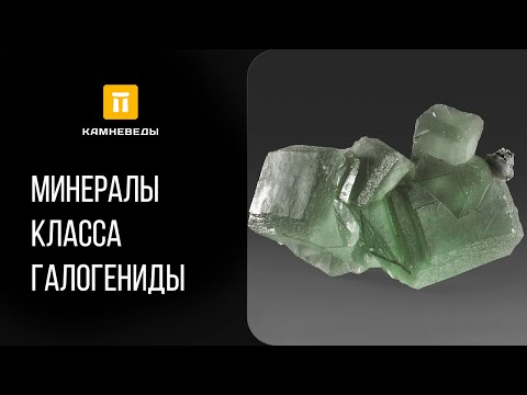 МИНЕРАЛЫ КЛАССА ГАЛОГЕНИДЫ