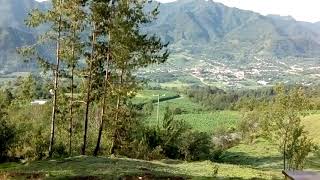 AYAHUALULCO VERACRUZ