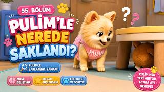 Pulim’le Nerede Saklandı? Saklambaç Ve Nesne Bulma Eğitici Çocuk Şarkısı 🐶🙈