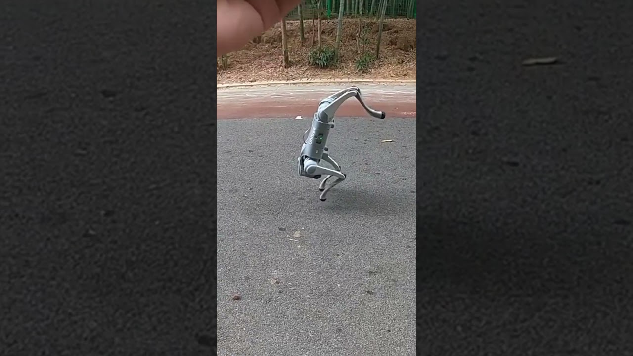 Robot dog walks upside down