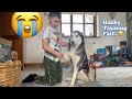 Hilarious Attempt Of My Son Teaching My Over Excited Husky Basic Commands! [FAIL!!!!]