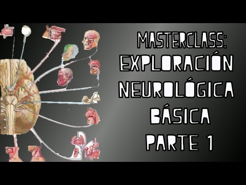 MasterClass - Exploración Neurológica pt.I