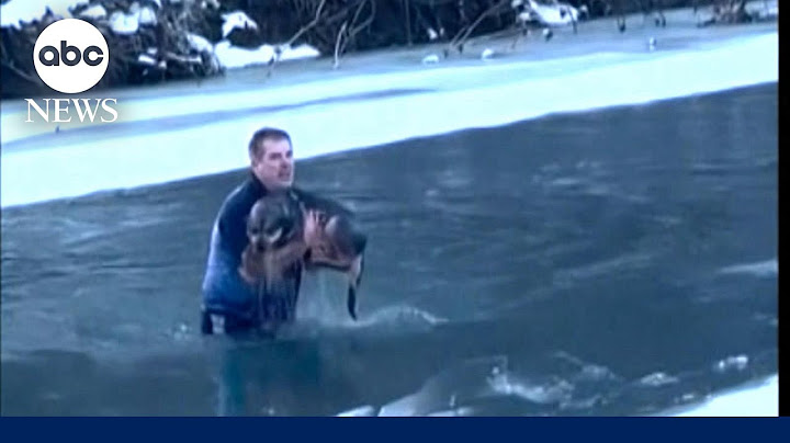 Dog saved in icy river rescue
