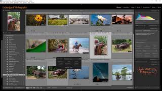 3 Ways to Add Keywords in Lightroom Fast