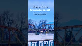 Skagit River flooding #skagitcounty #Skagit River flood #Skagitriverwalkflood