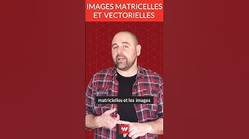 Différence entre images vectorielles et matricielles !
