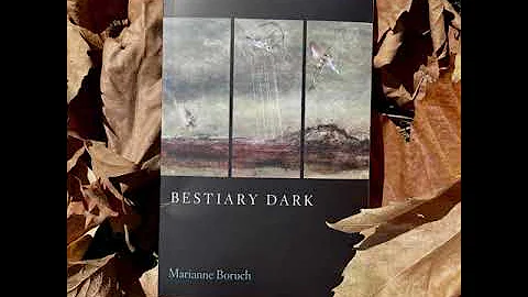 Marianne Boruch | I Could Redact Most Parts Of Me ...
