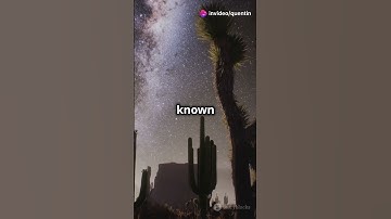 Mind Blowing Facts About Dung Beetles! #amazinganimals #fascinatingwildlife #animals