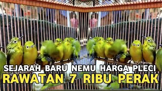 Download Lagu MIMPI INDAH ! NEMU PLECI RAWATAN PURTOT 7 RIBU PERAK KUTILANG SUTRA TIGA EKOR 80 RIBU DI PB PRAMUKA MP3 Download Lagu MIMPI INDAH ! NEMU PLECI RAWATAN PURTOT 7 RIBU PERAK KUTILANG SUTRA TIGA EKOR 80 RIBU DI PB PRAMUKA MP3