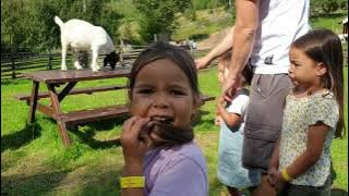 katthult Emil i Lönneberga