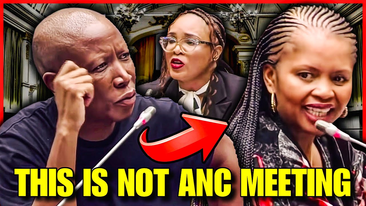 Things Gets Tense Between Julius Malema & ANC’s Sangoni at Ad Hoc Committee