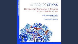 Harpsichord Concerto in G Minor: II. Adagio
