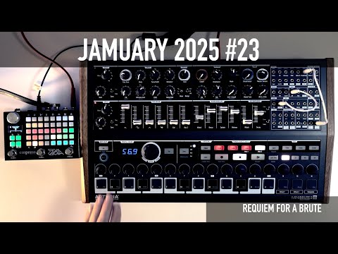 Jamuary 2025 - Day 23 - Requiem for a Brute