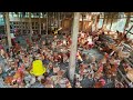 The #1 Secret to Poultry Farming Success That Experts Don’t Want You to Discover!