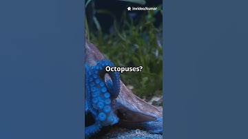 10 Mind-Blowing Scientific Facts You Didn’t Know! 🌌🧠 #facts  #shorts