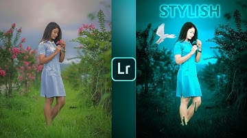 Lightroom blue colour and bird effect photo editing tutorial | Lightroom background colour change