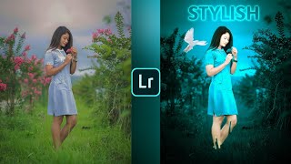 Lightroom blue colour and bird effect photo editing tutorial | Lightroom background colour change screenshot 4