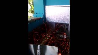 Alev Alev Yandığı Doğru