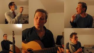 Video thumbnail of "La chanson sans calcium, Josselin's #4"