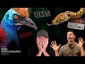 DEADLY Encounters | CLOSE CALLS In The Field!