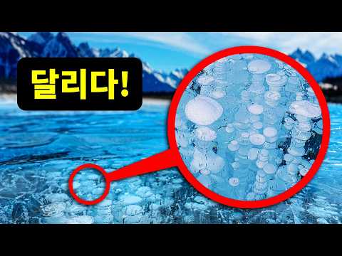 호수에 갑자기 거품이 생기면 당장 도망치세요!
