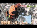 【狩猟Season7】解禁☆設置☆マチェットも携帯