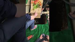 Curious Dog Falls Into Grave At Funeral 10 News First