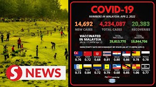 Covid-19: 14,692 new cases bring total to 4,234,087