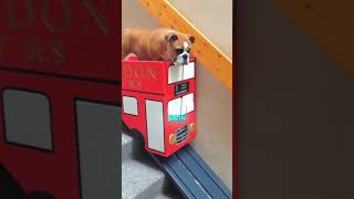 Making His Golden Years A Little Easier