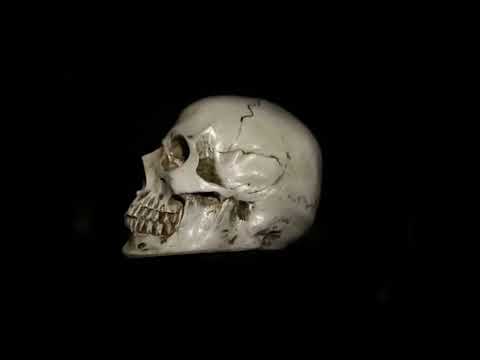 Skull rotation be like