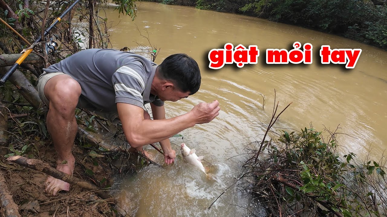 CÂU CÁ MÙA MƯA LŨ .MAY MẮN ĐƯỢC NHIỀU CÁ NGON -camera THỢ RỪNG