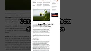 ConvertKit vs Beehiiv: cómo elegir la plataforma de email marketing correcta
