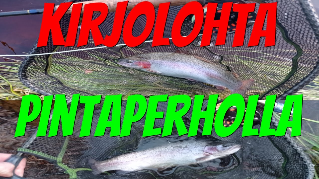 Kirjolohta pintaperholla 2021 | Perhokalastus | Merikarvianjoki | Kalastus