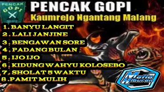 PENCAK SILAT GOPI FULL ALBUM VERSI SULINGAN LAWAS TERBARU