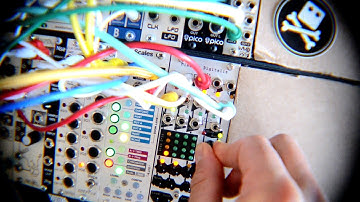 Modular / Noise Engineering Mimetic Digitalis / Explanation
