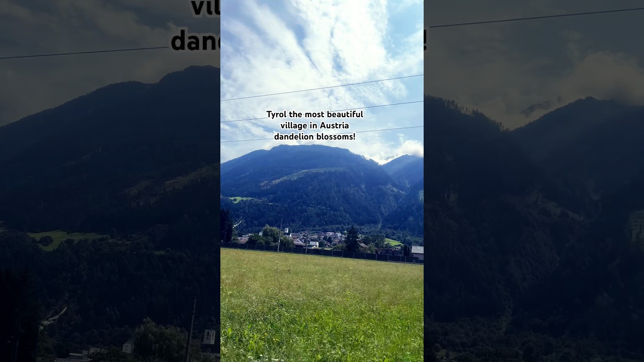 Tyrol the most beautiful village in Austria dandelion blossoms! 