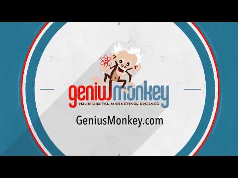 Genius Monkey - Optimize Programmatic Display