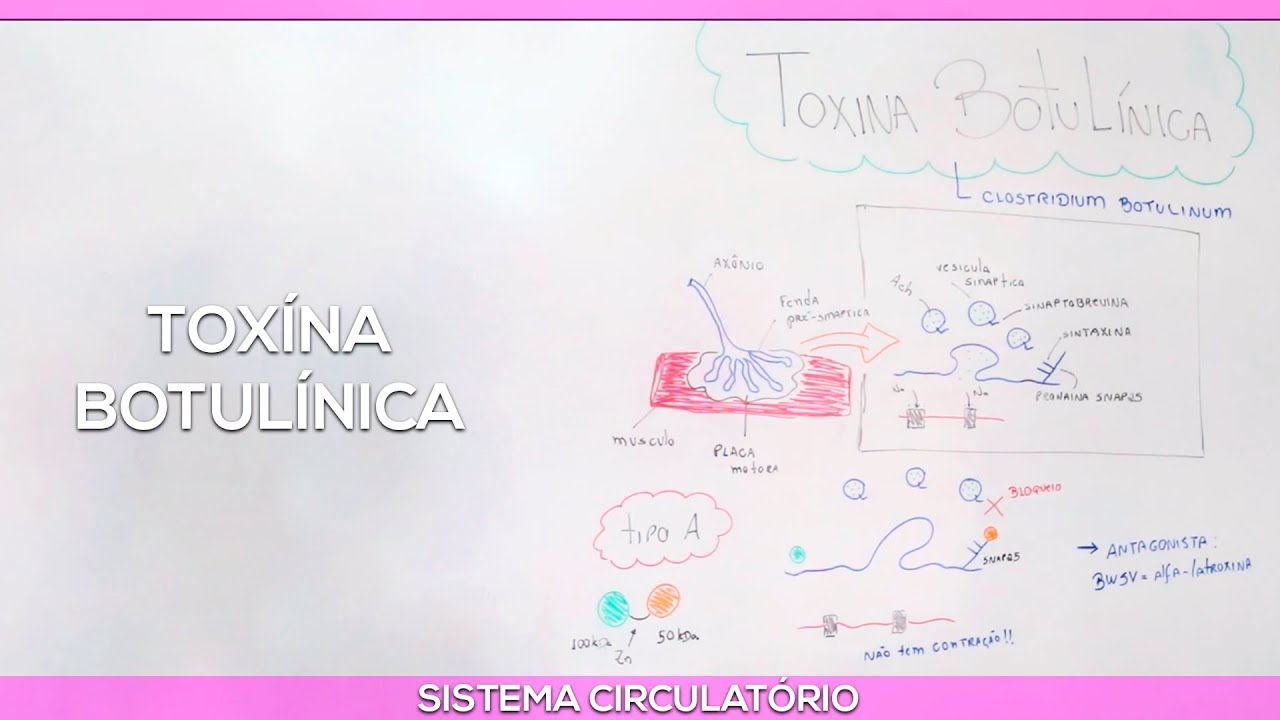Toxina Botulínica