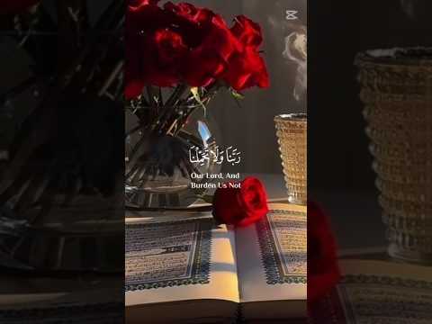 رب ضاقت بي الدنيا ولا مفرج لها سواك سبحانك  اكسبلور قرآن