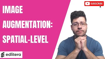 How to Apply Spatial-Level Transformations to Images